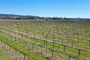 Agriculture,  Dry Creek road, Healdsburg, CA 95448 - 21
