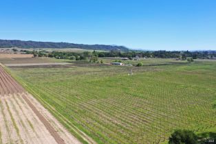 Agriculture,  Dry Creek road, Healdsburg, CA 95448 - 18