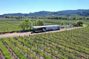 Agriculture,  Dry Creek road, Healdsburg, CA 95448 - 13