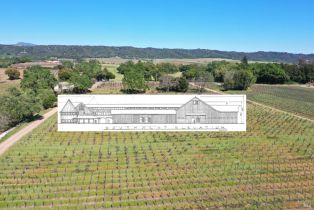 Agriculture,  Dry Creek road, Healdsburg, CA 95448 - 8