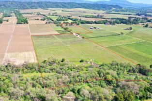 Agriculture,  Dry Creek road, Healdsburg, CA 95448 - 12
