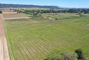 Agriculture,  Dry Creek road, Healdsburg, CA 95448 - 37