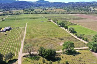 Agriculture,  Dry Creek road, Healdsburg, CA 95448 - 32