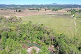 Agriculture,  Dry Creek road, Healdsburg, CA 95448 - 45