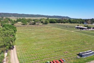 Agriculture,  Dry Creek road, Healdsburg, CA 95448 - 59