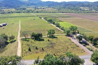 Agriculture,  Dry Creek road, Healdsburg, CA 95448 - 53