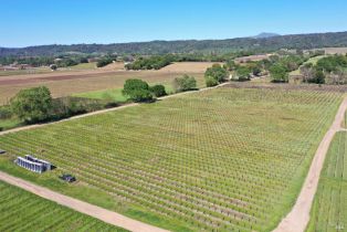 Agriculture,  Dry Creek road, Healdsburg, CA 95448 - 51
