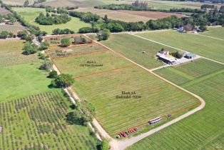 Agriculture,  Dry Creek road, Healdsburg, CA 95448 - 9
