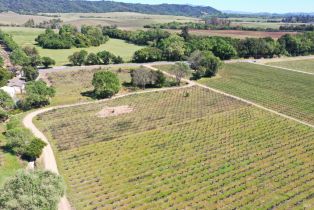 Agriculture,  Dry Creek road, Healdsburg, CA 95448 - 42