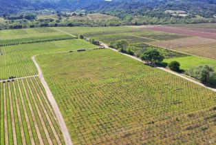 Agriculture,  Dry Creek road, Healdsburg, CA 95448 - 52