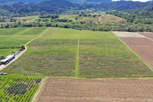 Agriculture,  Dry Creek road, Healdsburg, CA 95448 - 41