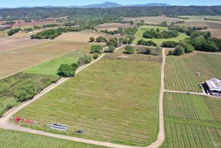 Agriculture,  Dry Creek road, Healdsburg, CA 95448 - 28
