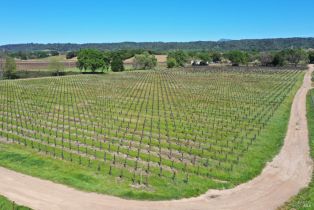 Agriculture,  Dry Creek road, Healdsburg, CA 95448 - 26
