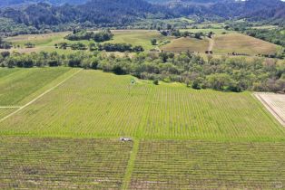 Agriculture,  Dry Creek road, Healdsburg, CA 95448 - 39