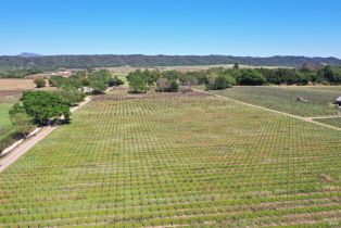 Agriculture,  Dry Creek road, Healdsburg, CA 95448 - 48