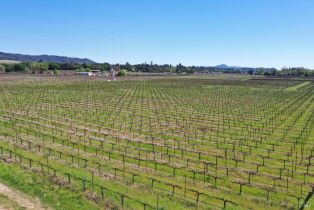 Agriculture,  Dry Creek road, Healdsburg, CA 95448 - 20