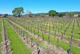 Agriculture,  Dry Creek road, Healdsburg, CA 95448 - 27