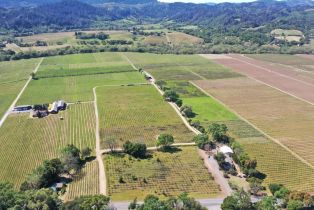 Agriculture,  Dry Creek road, Healdsburg, CA 95448 - 31