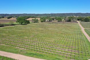 Agriculture,  Dry Creek road, Healdsburg, CA 95448 - 49