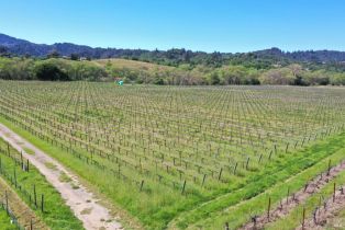 Agriculture,  Dry Creek road, Healdsburg, CA 95448 - 34