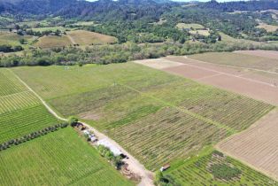 Agriculture,  Dry Creek road, Healdsburg, CA 95448 - 29