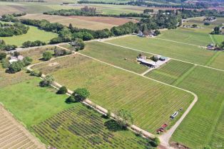 Agriculture,  Dry Creek road, Healdsburg, CA 95448 - 40