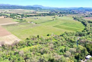 Agriculture,  Dry Creek road, Healdsburg, CA 95448 - 36