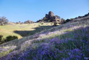 Single Family Residence,  Silverado trail, Napa, CA 94558 - 64