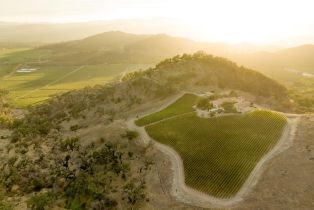 Single Family Residence,  Silverado trail, Napa, CA 94558 - 72