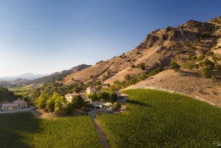 Single Family Residence,  Silverado trail, Napa, CA 94558 - 50