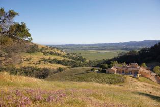 Single Family Residence,  Silverado trail, Napa, CA 94558 - 66