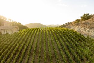 Single Family Residence,  Silverado trail, Napa, CA 94558 - 73