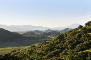 Single Family Residence,  Silverado trail, Napa, CA 94558 - 65