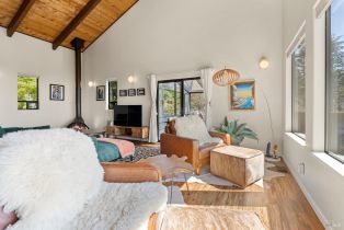 Single Family Residence,  Seaward Reach none, Sea Ranch, CA 95497 - 10