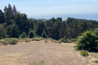 Single Family Residence,  Seaward Reach none, Sea Ranch, CA 95497 - 47