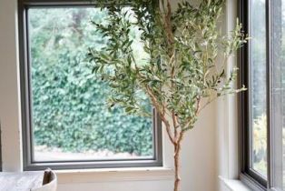 Single Family Residence,  Carissa court, Santa Rosa, CA 95405 - 29