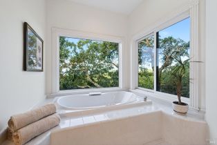 Single Family Residence,  Shiloh canyon, Santa Rosa, CA 95403 - 41