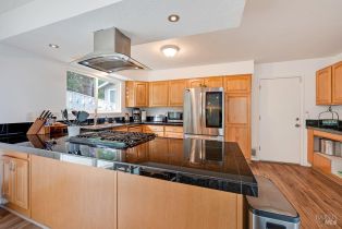 Single Family Residence,  Sierra Grande drive, Bodega Bay, CA 94923 - 20