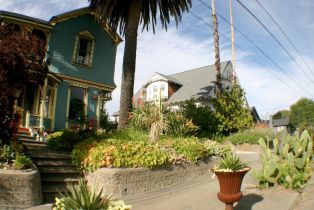 Single Family Residence,  Galland street, Petaluma, CA 94952 - 6