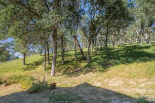 Single Family Residence,  Steele Canyon road, Napa, CA 94558 - 37