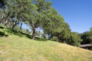 Single Family Residence,  Steele Canyon road, Napa, CA 94558 - 35
