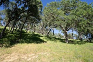 Single Family Residence,  Steele Canyon road, Napa, CA 94558 - 36