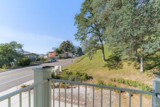 Single Family Residence,  Steele Canyon road, Napa, CA 94558 - 23