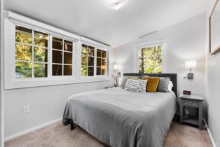 Single Family Residence,  Old Cazadero road, Russian River, CA 95446 - 24