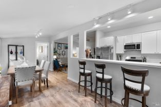 Single Family Residence,  Old Cazadero road, Russian River, CA 95446 - 19