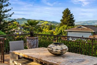 Single Family Residence, Swiss court, Napa, CA 94558 - 63