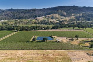 Agriculture,  Silverado trail, Calistoga, CA 94515 - 6