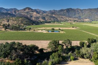 Agriculture,  Silverado trail, Calistoga, CA 94515 - 8