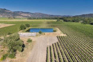 Agriculture,  Silverado trail, Calistoga, CA 94515 - 9