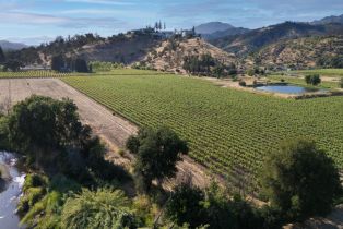 Agriculture,  Silverado trail, Calistoga, CA 94515 - 7